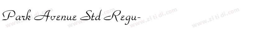 Park Avenue Std Regu字体转换